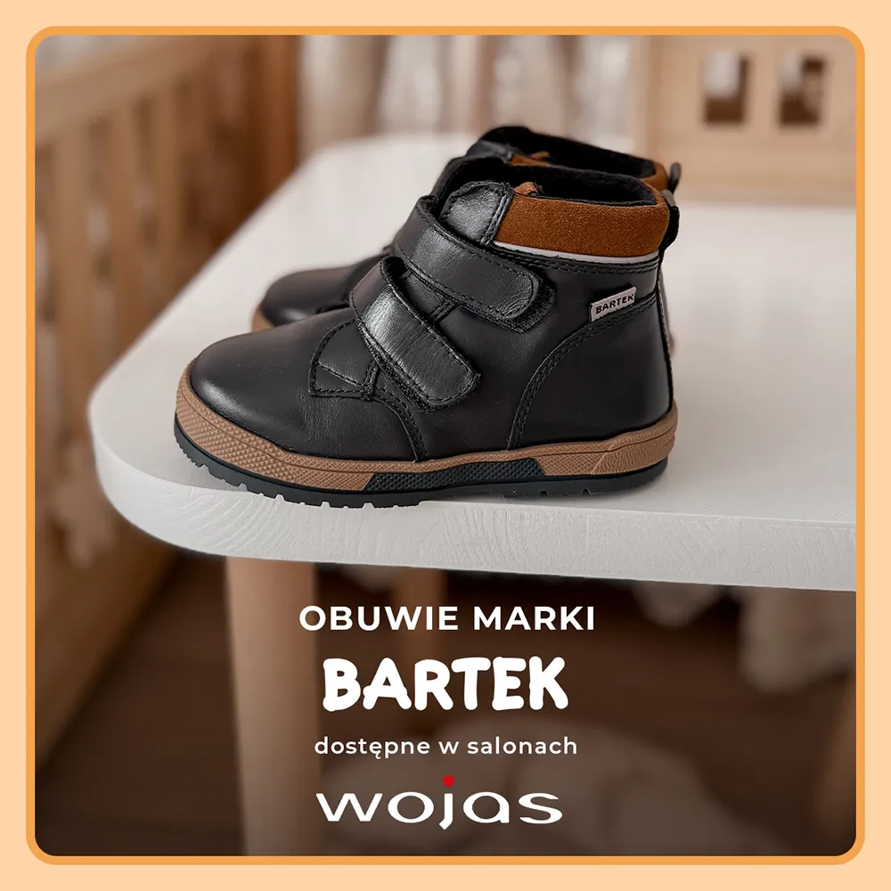 kolekcja wojas